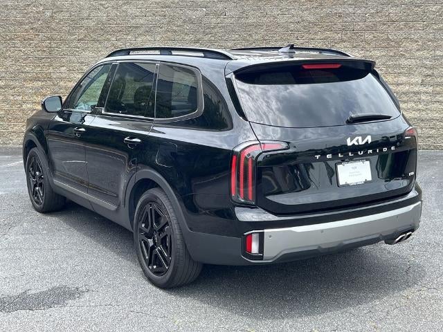 2023 Kia Telluride — detail view